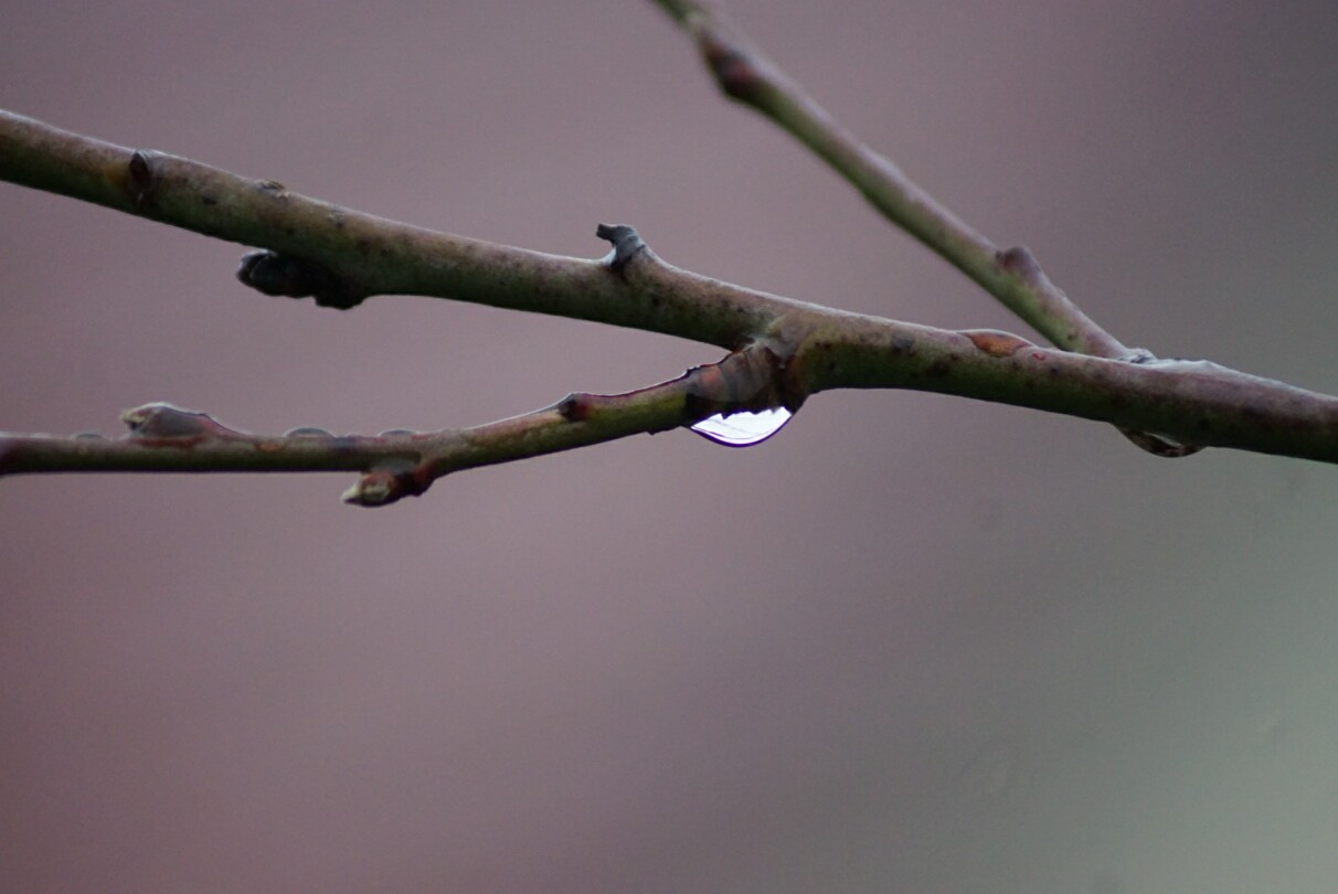 januar-regen.jpg