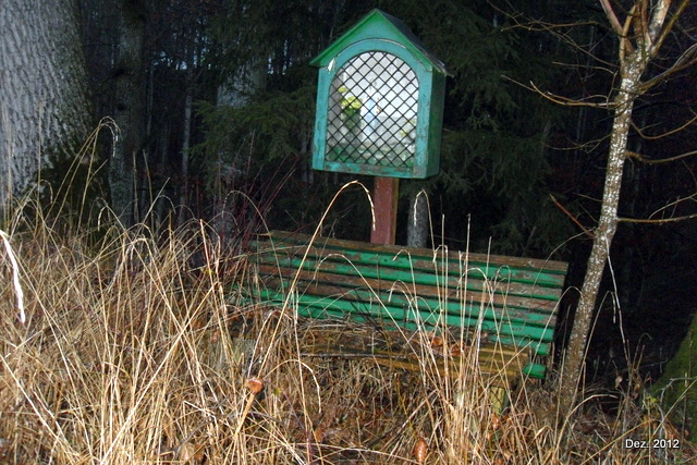 bankel_wild.jpg
